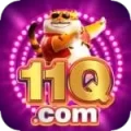 11q Slots Elite v2.9.5